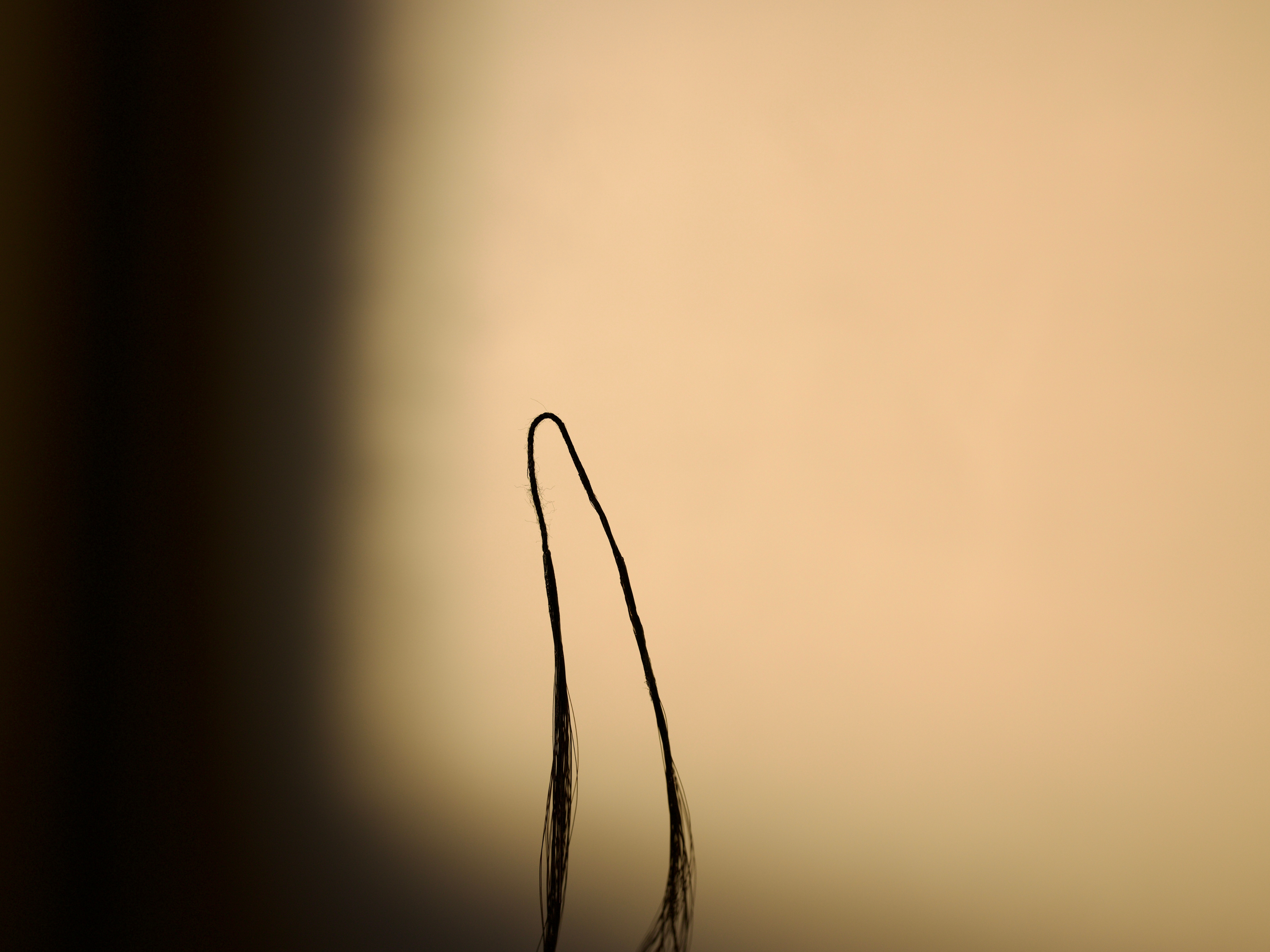 Close up of crochet hair structure against a neutral background